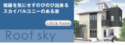 Roof sky