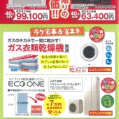 201906_ecofes2