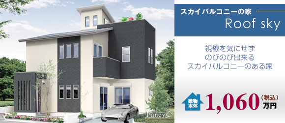 �X�J�C�o���R�j�[�̉Ɓ@Roof sky