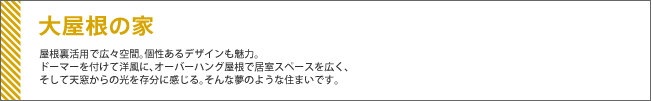 大屋根の家