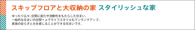 スキップフロアと大収納の家　スタイリッシュな家