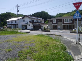 4IMGP2712