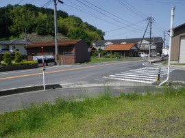5IMGP2713