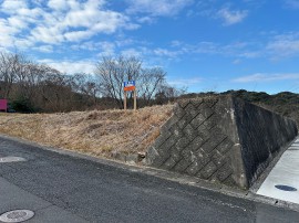 IMG_7311